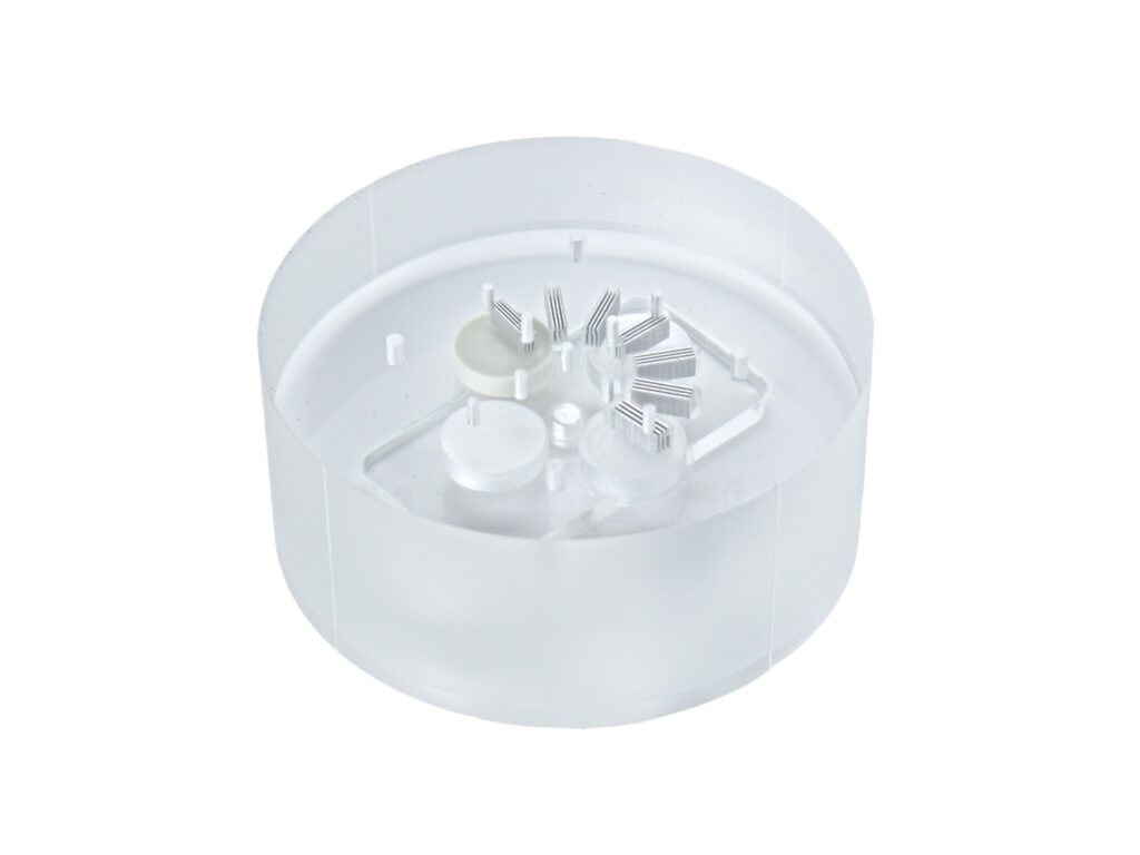 Fantom QUALIS DENTAL 3D